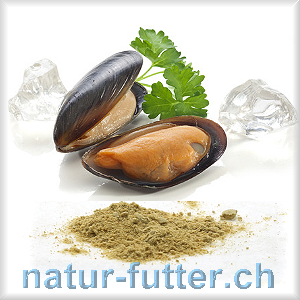 Muschelfleischextrakt Perna canaliculus - Premiumqualität! Natürliches Taurin & Gelenkpflege